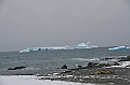 227_Antarctica_Peninsula_Robert_Island