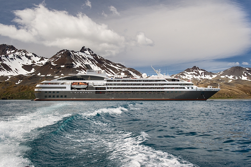 079_Best_of_Antarctica_Ponant.jpg
