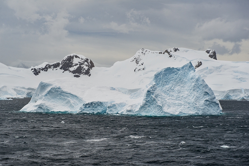 225_Best_of_Antarctica_Ponant.jpg