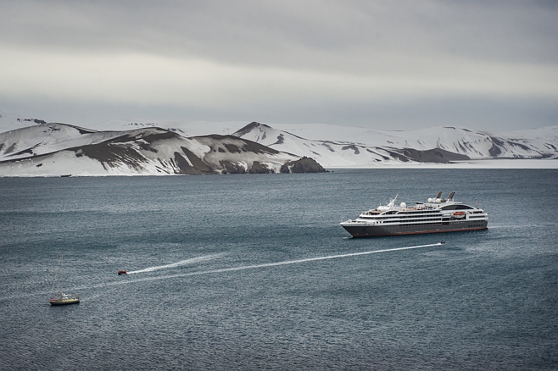 244_Best_of_Antarctica_Ponant.jpg