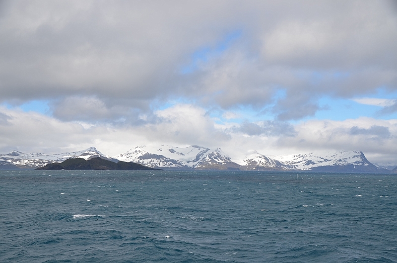 010_Antarctica_South_Georgia.JPG