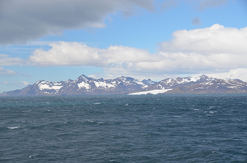 012_Antarctica_South_Georgia.JPG