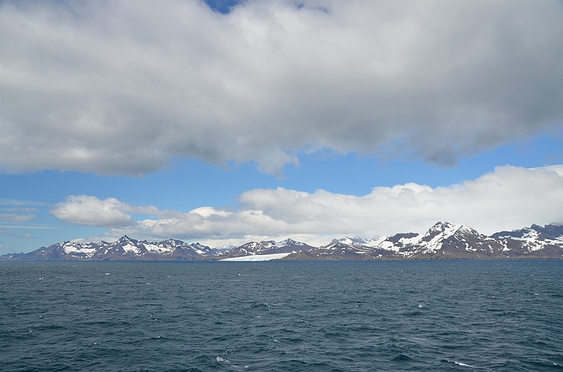 015_Antarctica_South_Georgia.JPG