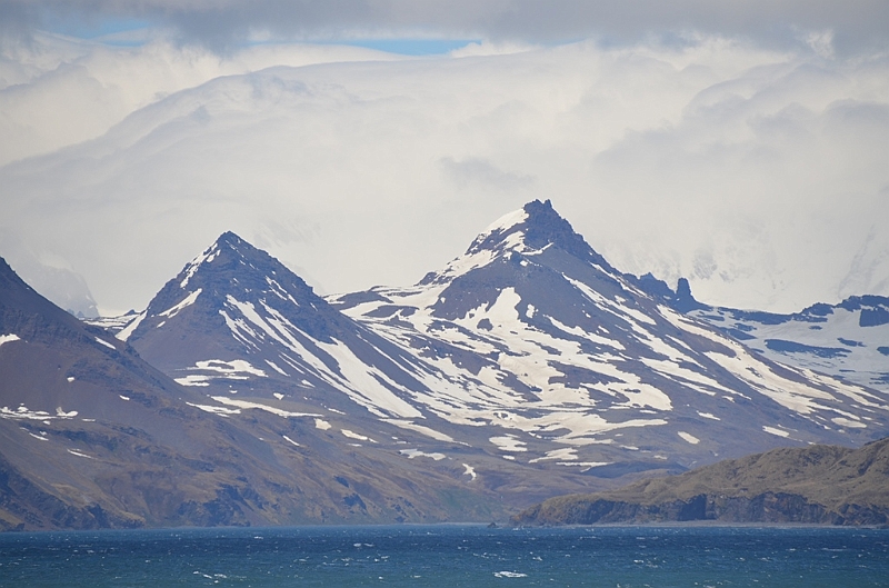019_Antarctica_South_Georgia.JPG