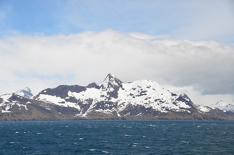 024_Antarctica_South_Georgia.JPG