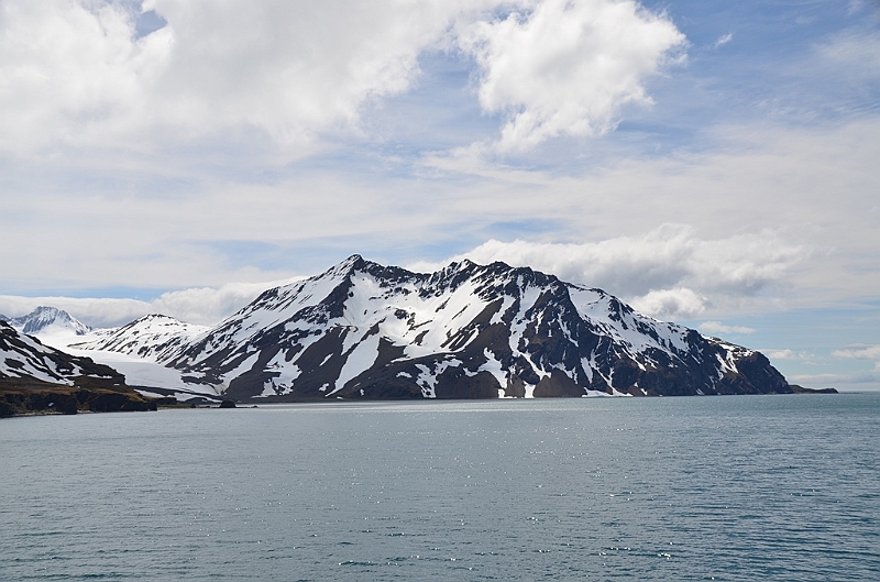 038_Antarctica_South_Georgia_Fortuna_Bay.JPG