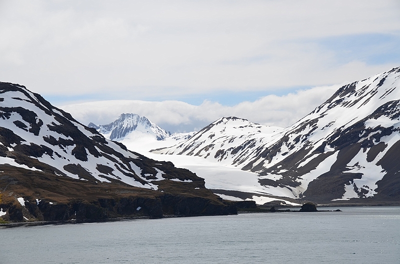 044_Antarctica_South_Georgia_Fortuna_Bay.JPG
