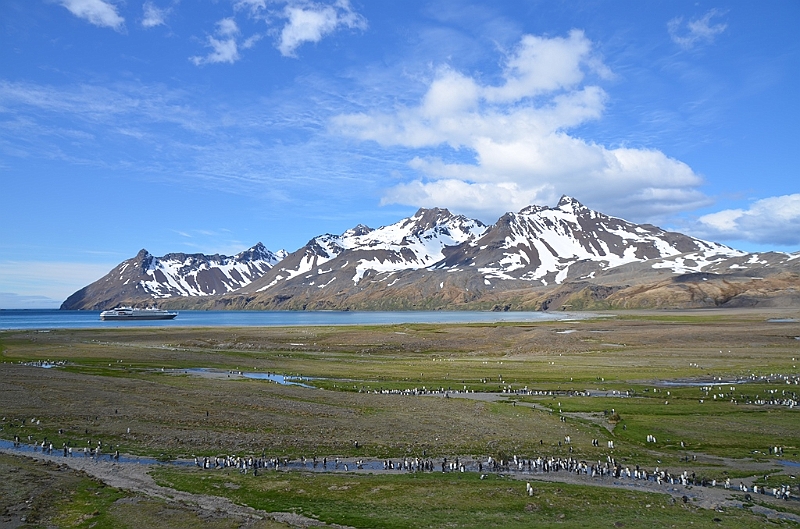 097_Antarctica_South_Georgia_Fortuna_Bay.JPG