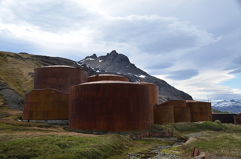 141_Antarctica_South_Georgia_Grytviken.JPG