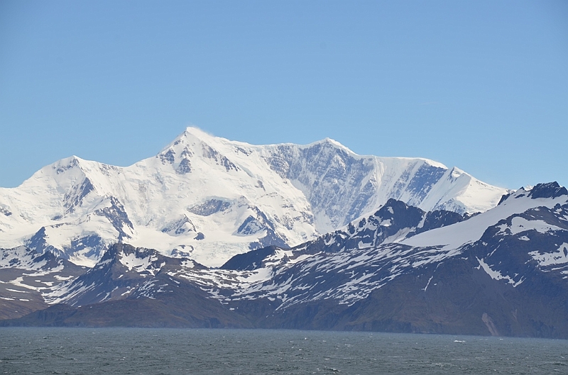 187_Antarctica_South_Georgia.JPG