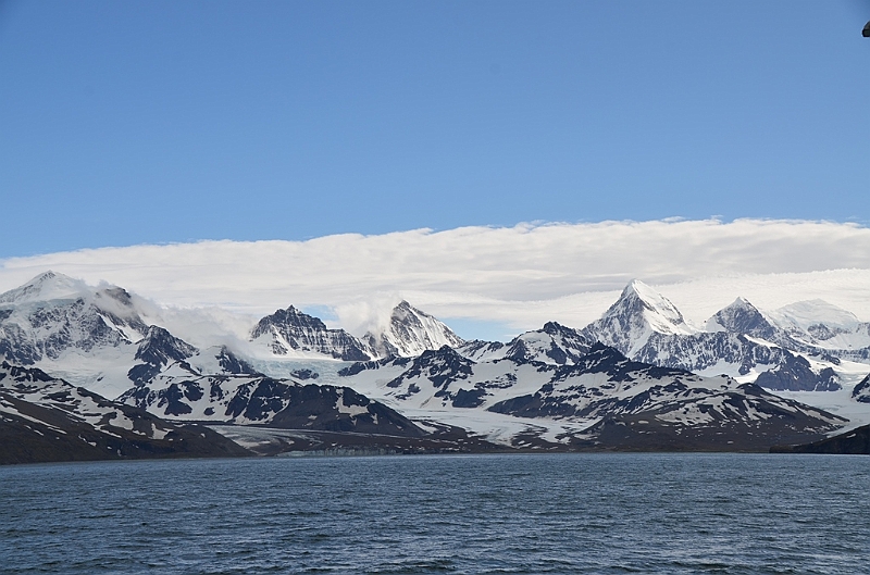 190_Antarctica_South_Georgia.JPG