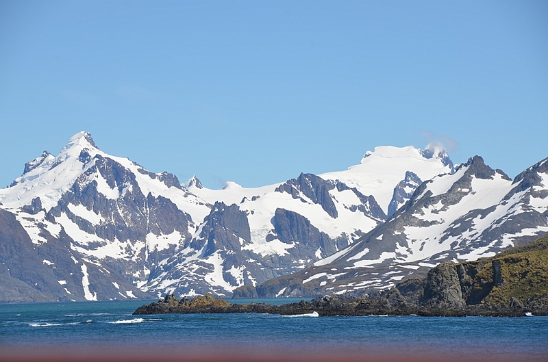 340_Antarctica_South_Georgia_Cooper_Bay.JPG