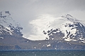 009_Antarctica_South_Georgia