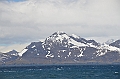 011_Antarctica_South_Georgia
