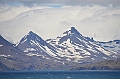 019_Antarctica_South_Georgia