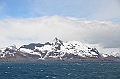 024_Antarctica_South_Georgia