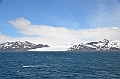 025_Antarctica_South_Georgia