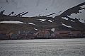 117_Antarctica_South_Georgia
