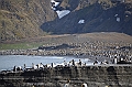 246_Antarctica_South_Georgia_Saint_Andrews_Bay