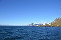 271_Antarctica_South_Georgia_Cooper_Bay