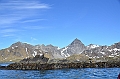 293_Antarctica_South_Georgia_Cooper_Bay