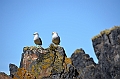 320_Antarctica_South_Georgia_Cooper_Bay