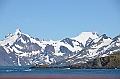 340_Antarctica_South_Georgia_Cooper_Bay