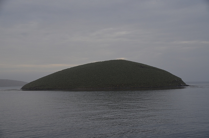 045_Falkland_Islands_New_Island.JPG