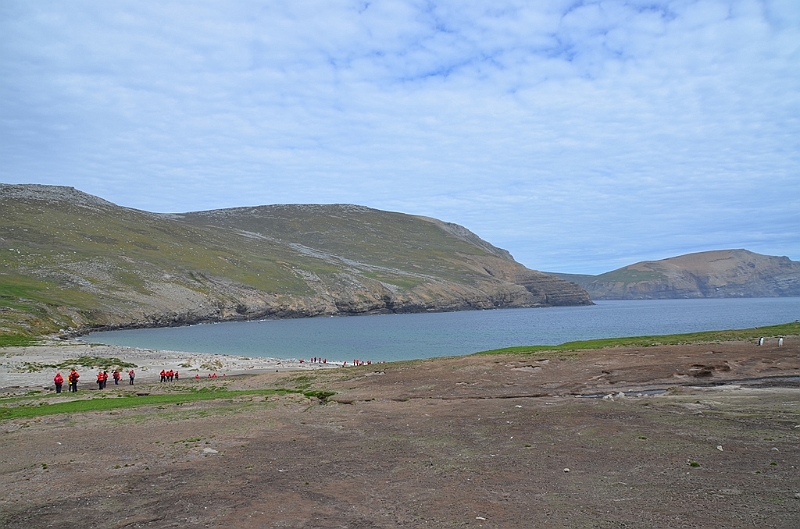 106_Falkland_Islands_Grave_Cove.JPG