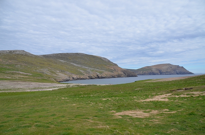 125_Falkland_Islands_Grave_Cove.JPG