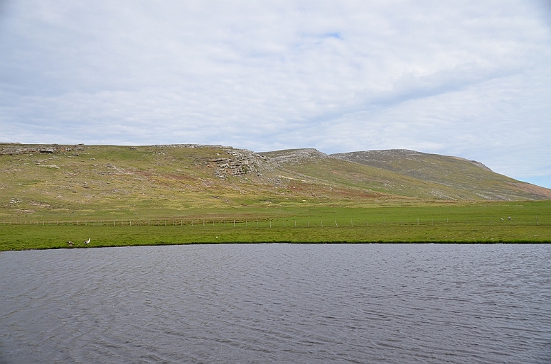 127_Falkland_Islands_Grave_Cove.JPG