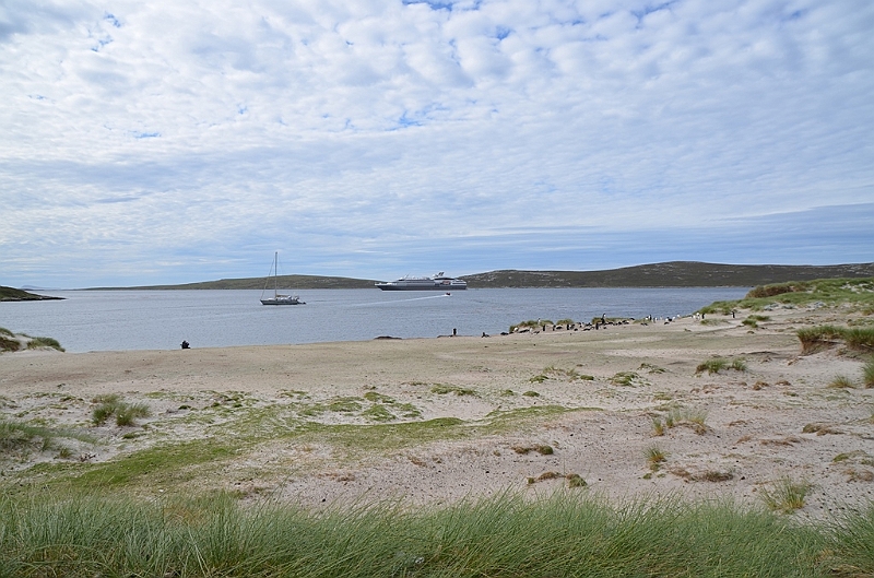 136_Falkland_Islands_Grave_Cove.JPG