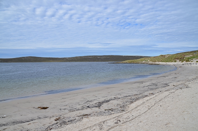 142_Falkland_Islands_Grave_Cove.JPG