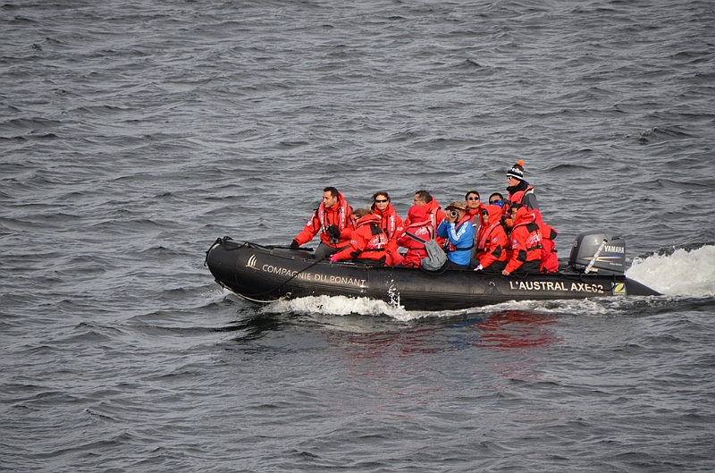 149_Falkland_Islands_Grave_Cove_Zodiac.JPG