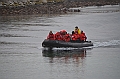 051_Falkland_Islands_New_Island_Zodiac