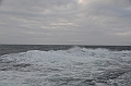 002_USA_Alaska_Bering_Sea