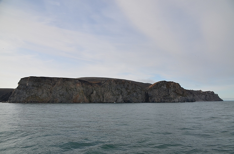 061_Russia_Wrangel_Island_Cape_Waring.JPG