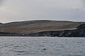 097_Russia_Wrangel_Island_Cape_Waring