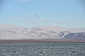 149_Russia_Wrangel_Island_Krasina_Bay