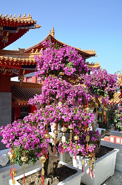 121_Taiwan_Sun_Moon_Lake_Wenwu_Temple.JPG