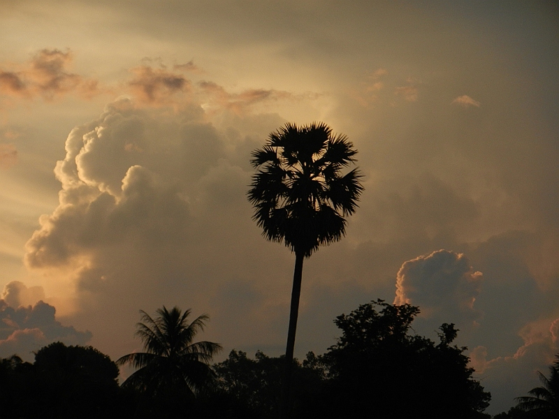 177_Cambodia_Angkor_Wat_Sunrise.JPG - 