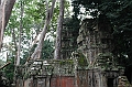 190_Cambodia_Angkor_Ta_Prohm