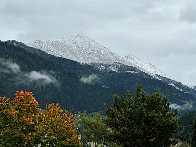 113_Austria_Pinzgau.JPG