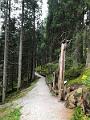163_Austria_Stubai_Schick_2000_Naturlehrweg