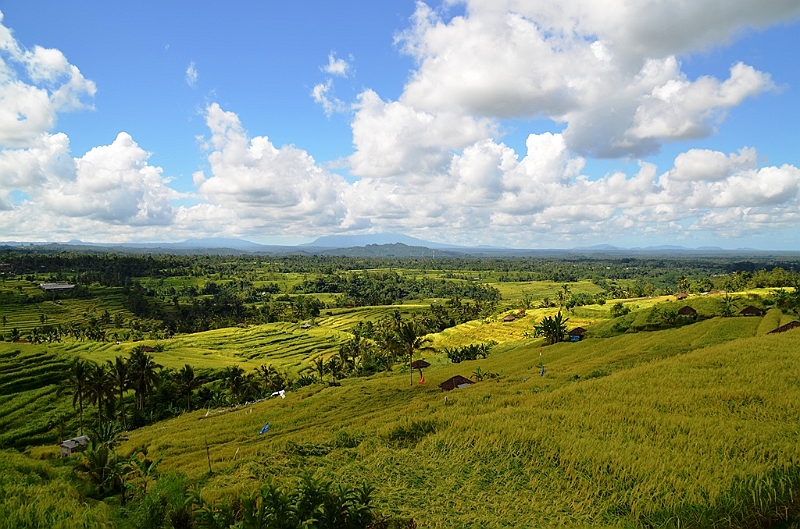 104_Bali_Jatiluwih_Ricefields.JPG