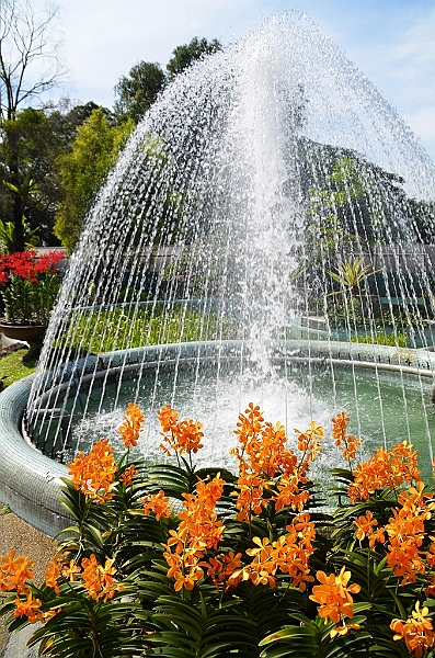 476_Kuala_Lumpur_Orchid_Garden.JPG