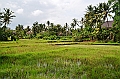 248_Bali_The_Ubud_Village_Resort
