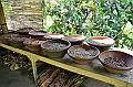 316_Bali_Coffee_Plantation