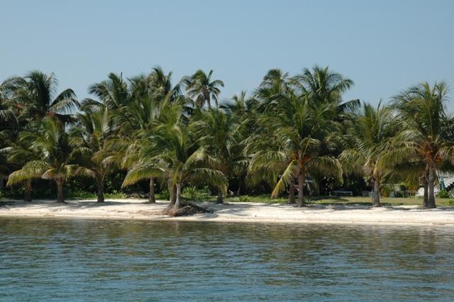 306_Belize_Caye_Caulker.JPG