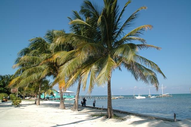 309_Belize_Caye_Caulker.JPG